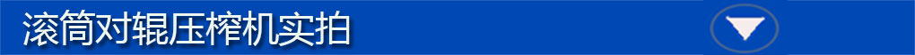 对辊机实拍
